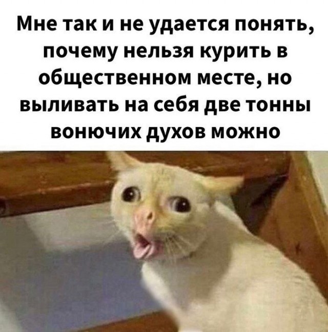 Немного забавных картинок