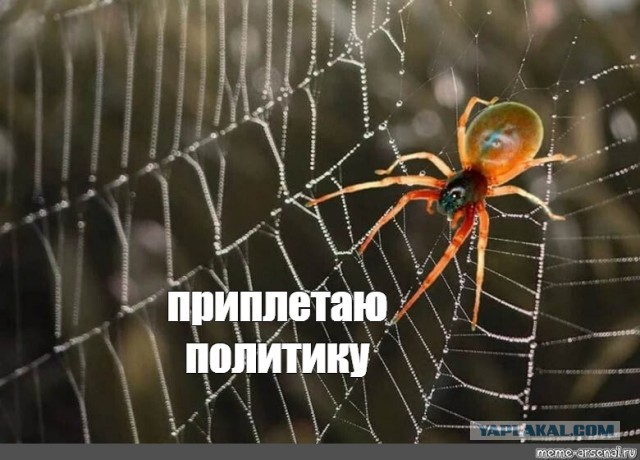 Грустное... Новые фото 69-летнего Брюса Уиллиса, страдающего деменцией