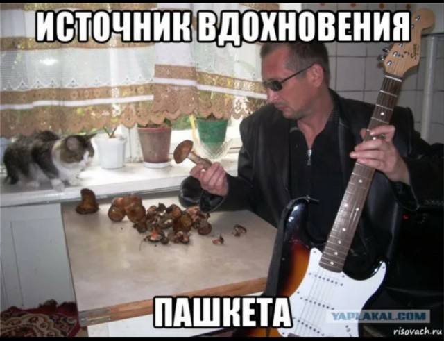 Друзья! Послушал вашего совета, смотрите сами что получилось.. (Пашкетт)