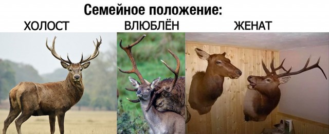 Завалялось тут случайно немного забавных картинок
