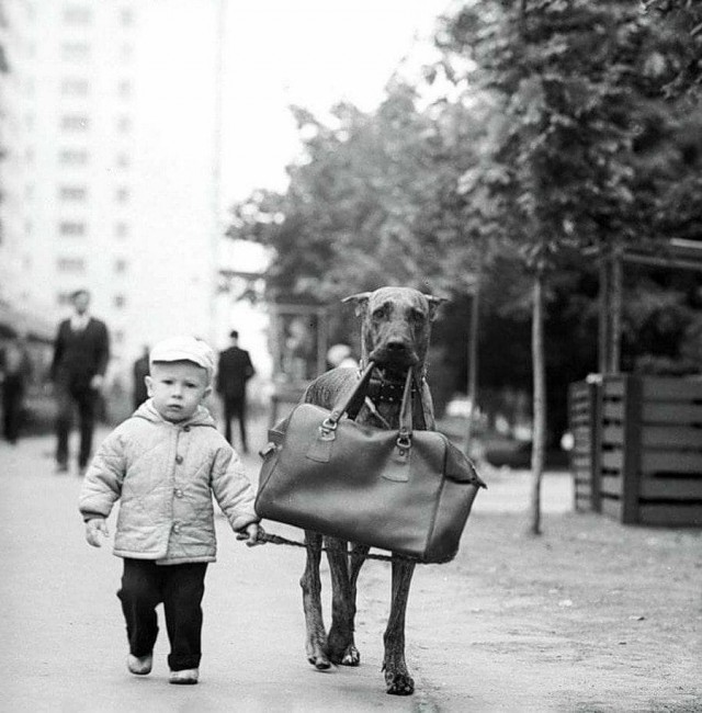Back in USSR (19.03)