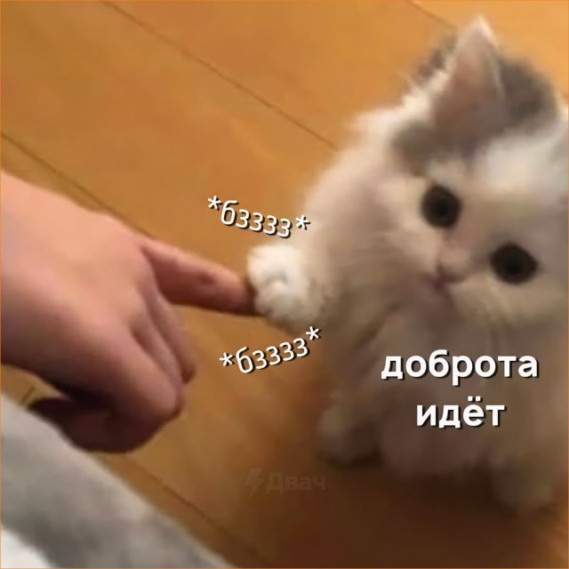 Крик о помощи