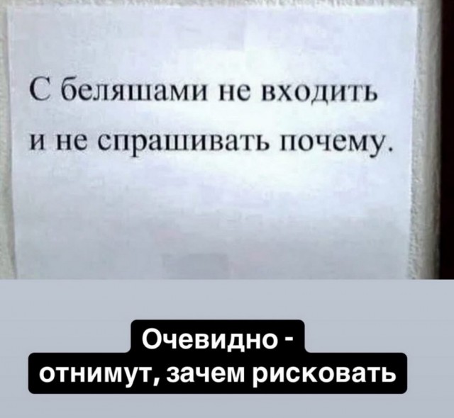 ТРРРидцать тРРРи от 26 мая
