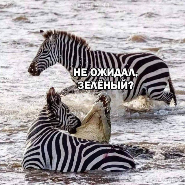 Так себе картинки 01.07.25