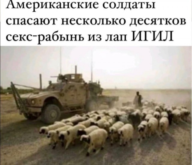 Веселые картинки в понедельник (21.07)