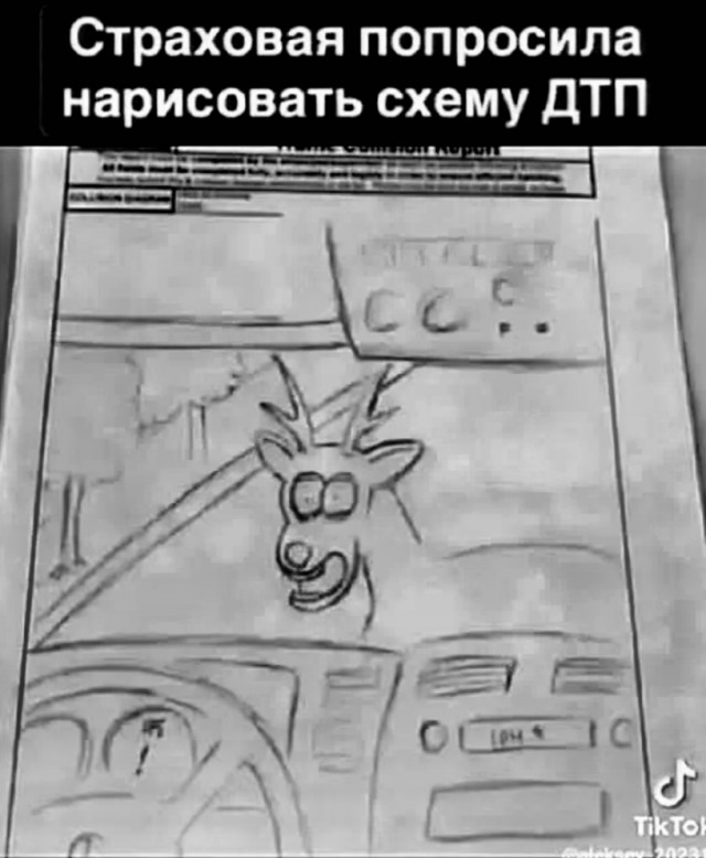 Испуганный олень в свете фар
