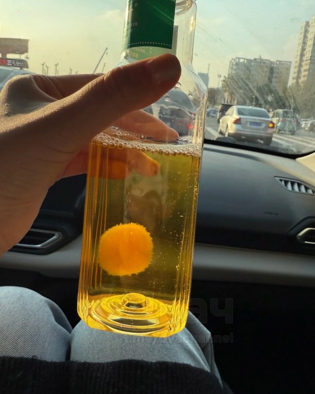 Китайцы начали заводить чайную плесень в качестве питомцев