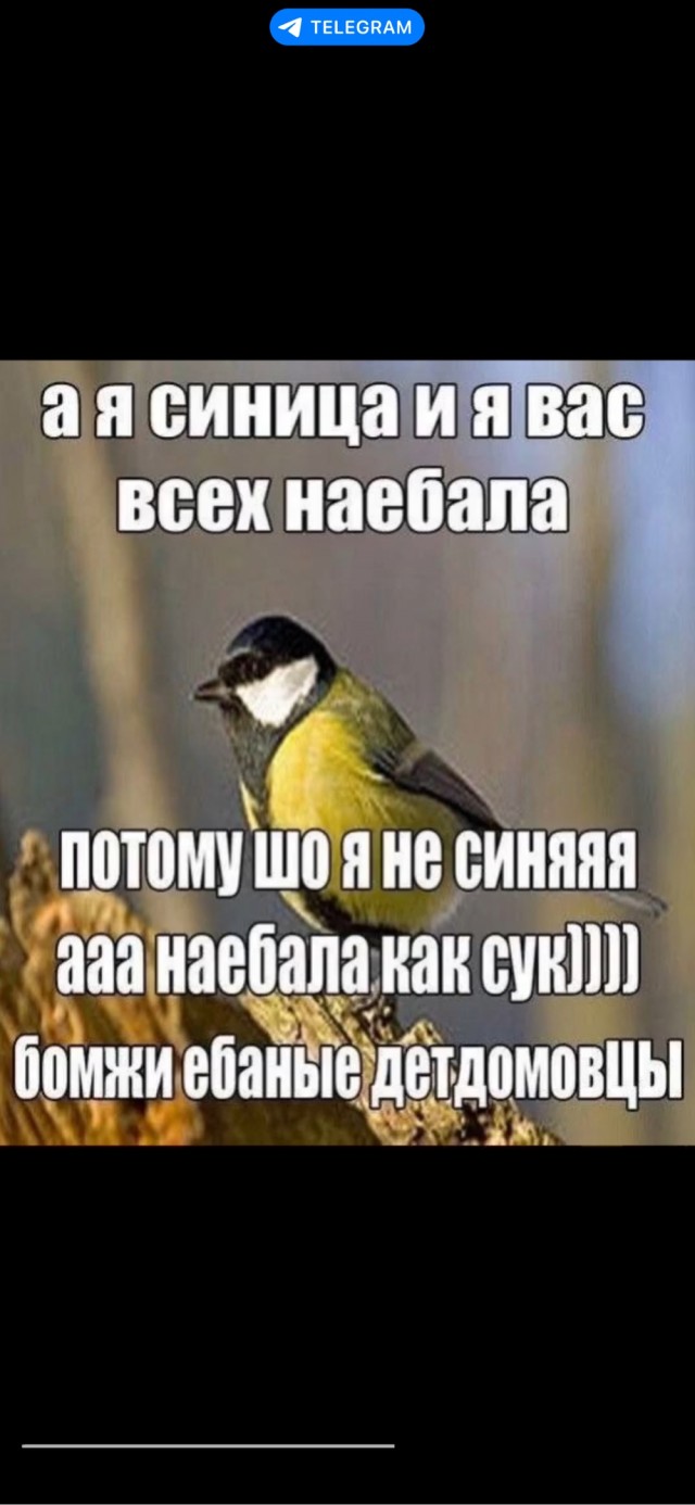 Деградация