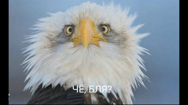 Нате вам, ловите в ответочку