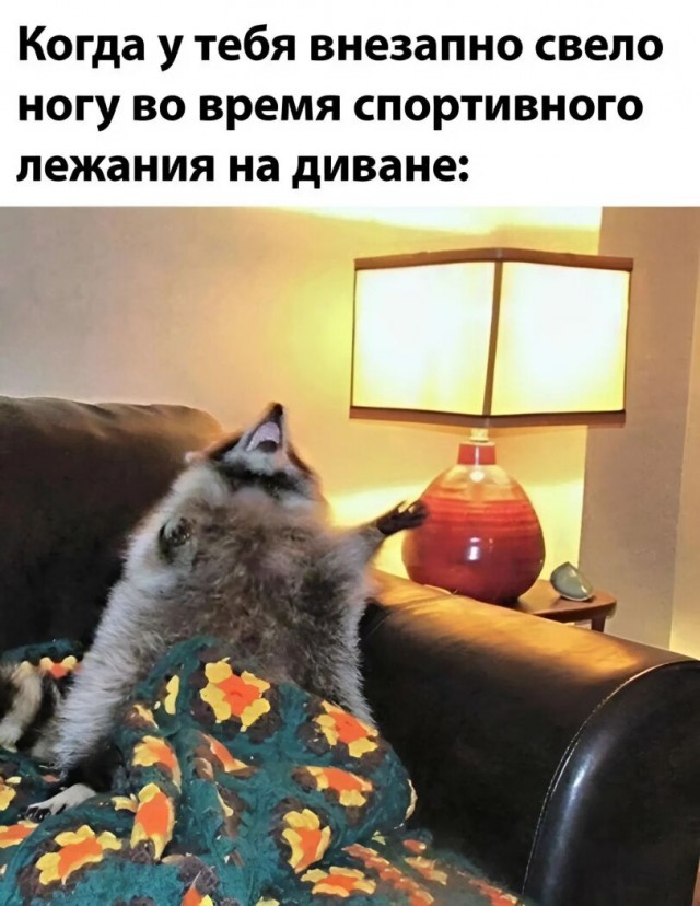 Картинки для деградации 162 (разной степени свежести)