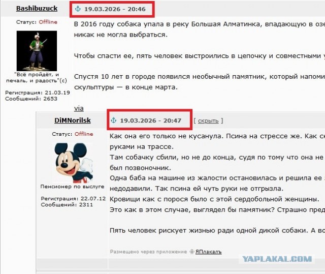 В Алматы установили памятник спасению собаки, которое произошло здесь 10 лет назад