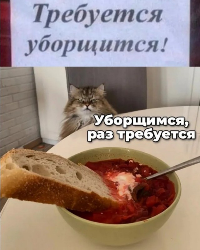 Планы на воскресенье