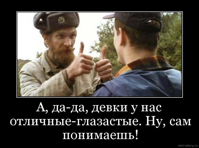 Московские и областные лоси