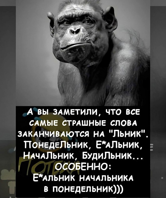 Веселые картинки в понедельник (21.09)