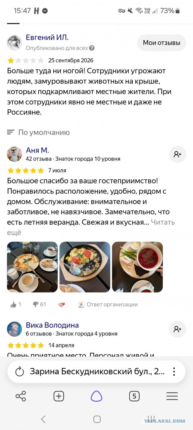 Живого котёнка замуровали в крыше пиццерии в Москве