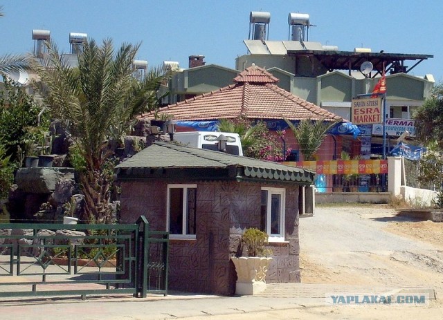 Сирия в огне