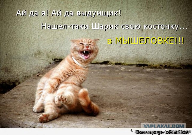 Добряки, плюсующие всех подряд