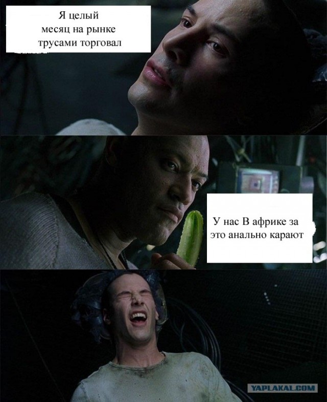 Сила Земли