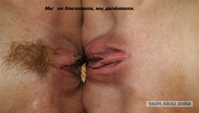 Звезды и их двойники в фильмах для взрослых