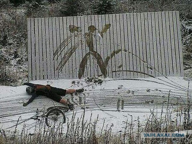 Немного юмора