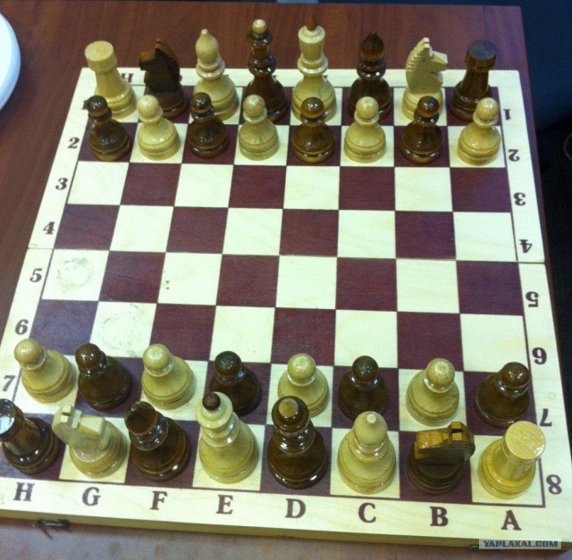 Как толерасты играют в шахматы?