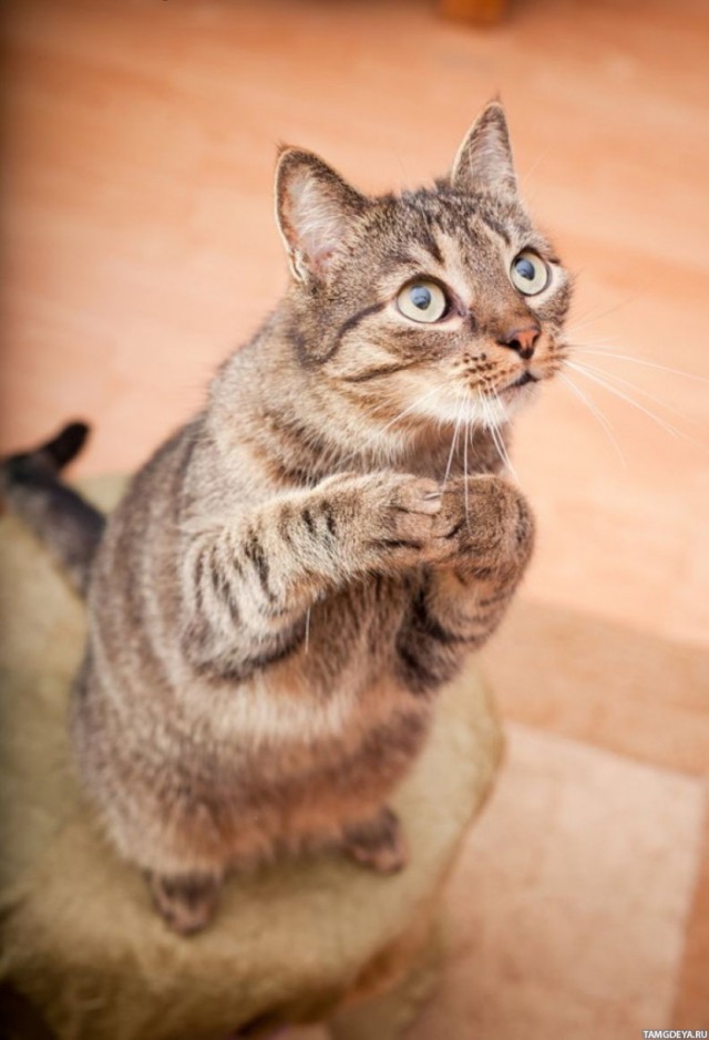 Вот, посоны! Вот то место, о котором я говорил!