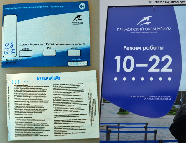 День 18. Владивостокский океанариум на острове Русский
