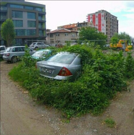 Подборка интересных картинок из сети 26.06.17
