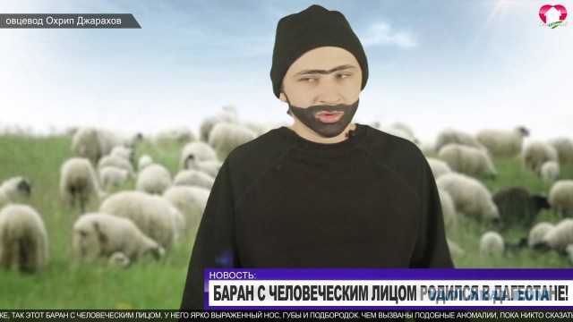 Смешанный брак: самые необычные животные-гибриды