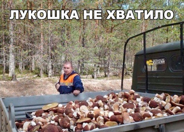 Всякая всячина