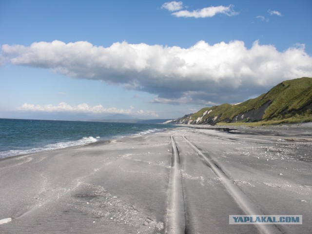 Просто Природа