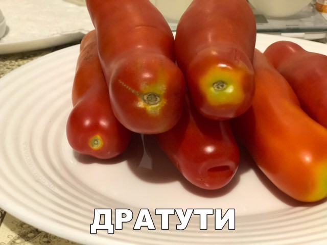 Прикольные картинки обо всем