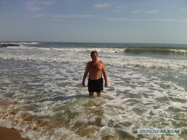 Командировка. В леса