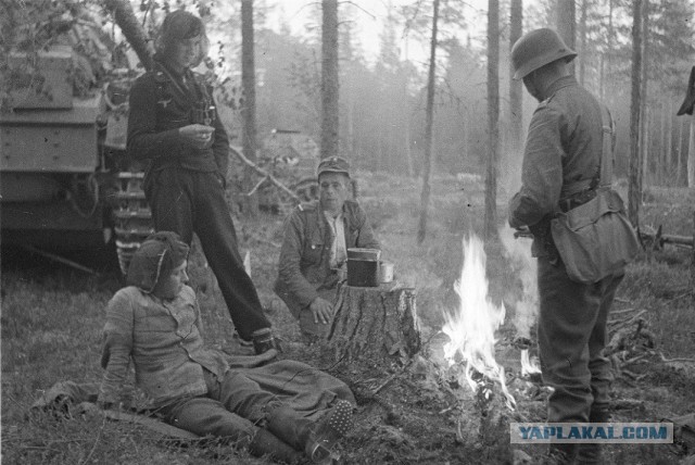 Картинки на военную тему