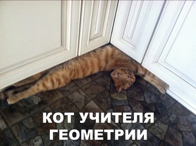 Немного милоты