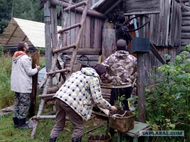 Вепсская тайга летом или Старый Бор