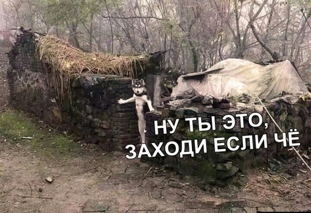 Нестандартный юмор