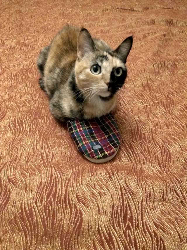 Счастье