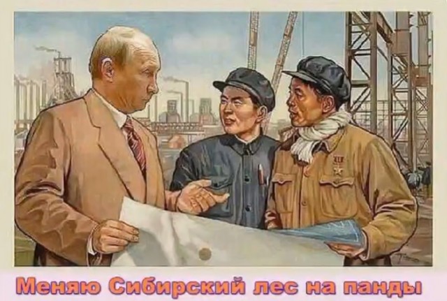 Двинско-Пинежское междуречье: как исчезают первозданные леса