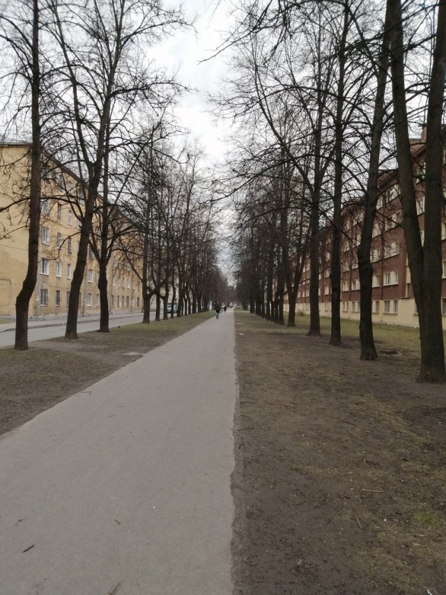 Откровение плохого папы