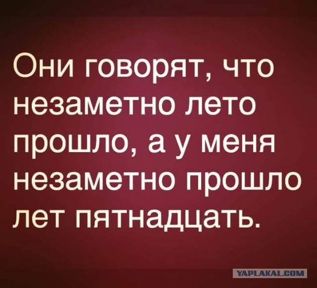Веселые истории о нас № 207