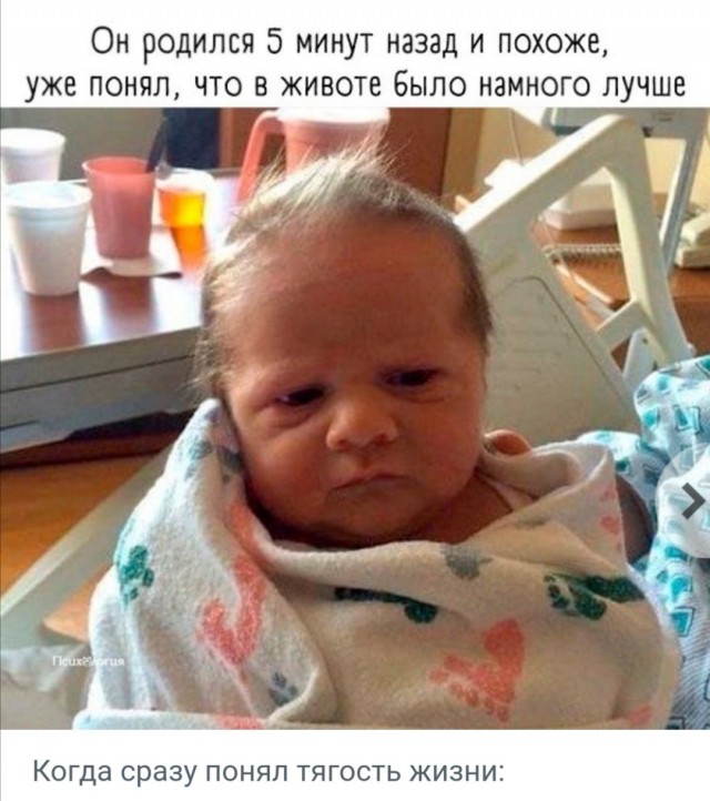 Воскресная милота и услада для глаз