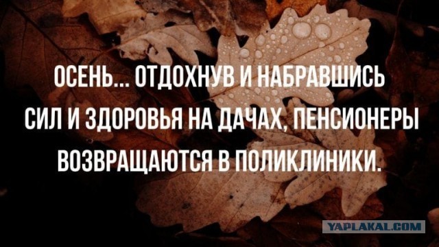 Так себе картинки 13.03.21