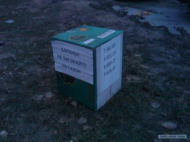 СтопХам Спб - Большие неприятности