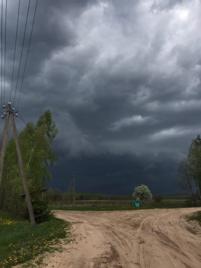 Перед грозой в деревне
