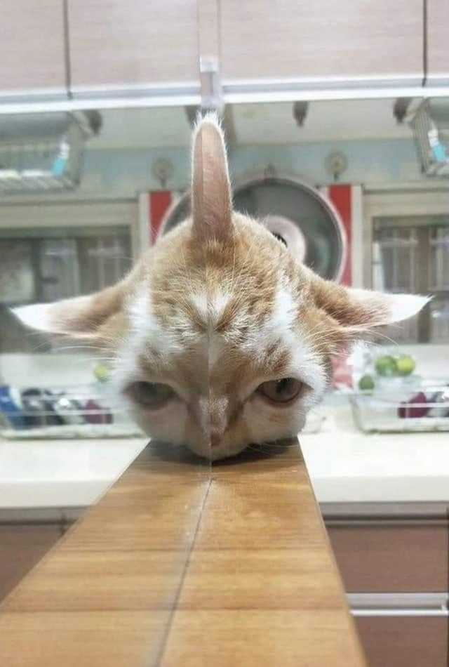 Кто здесь?!