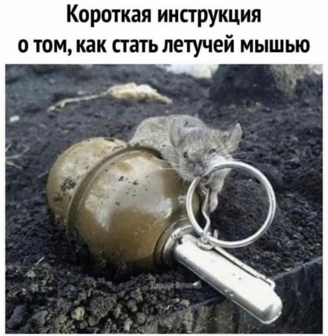 Картинки и мемы для настроения 28.10.2021