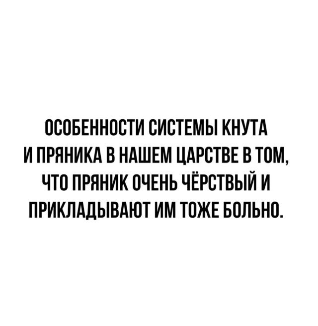 Всяческие картинки 15.11.2021
