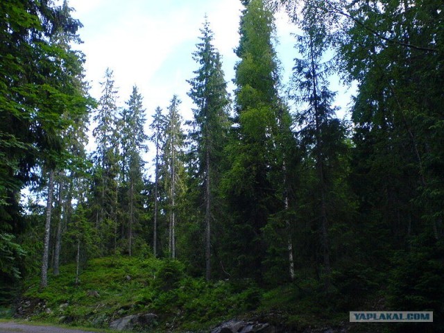Экскурсия-загадка