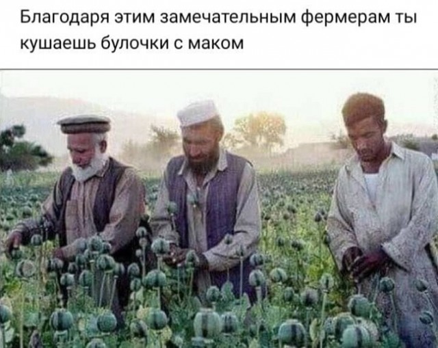 40 картинок разных 05.05.2022